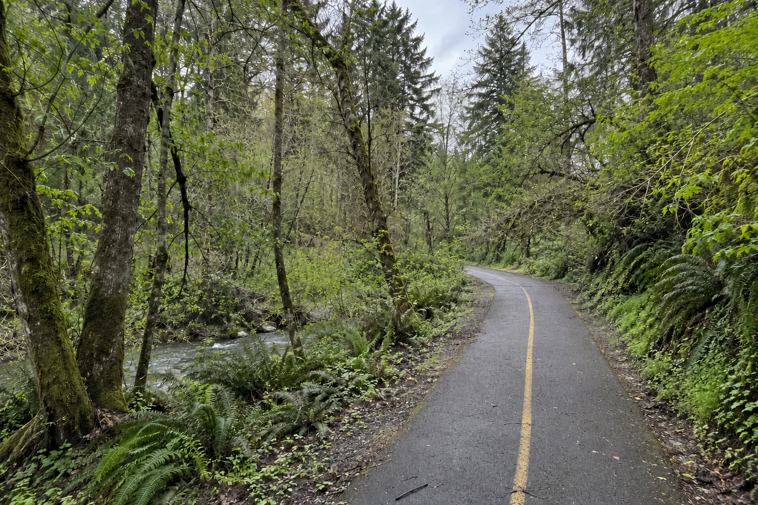 The Des Moines Creek Trail near Seattle-Tacoma International Airport