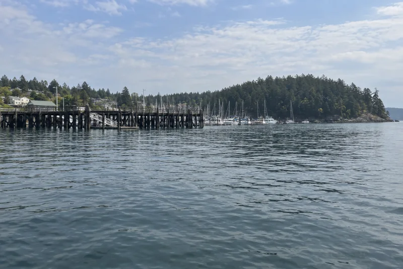 Calm blue water at Friday Harbor with a forested point, a timber pier and distant boat masts.